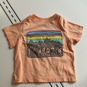 Patagonia Baby Fitz Roy Skies Organic T-Shirt